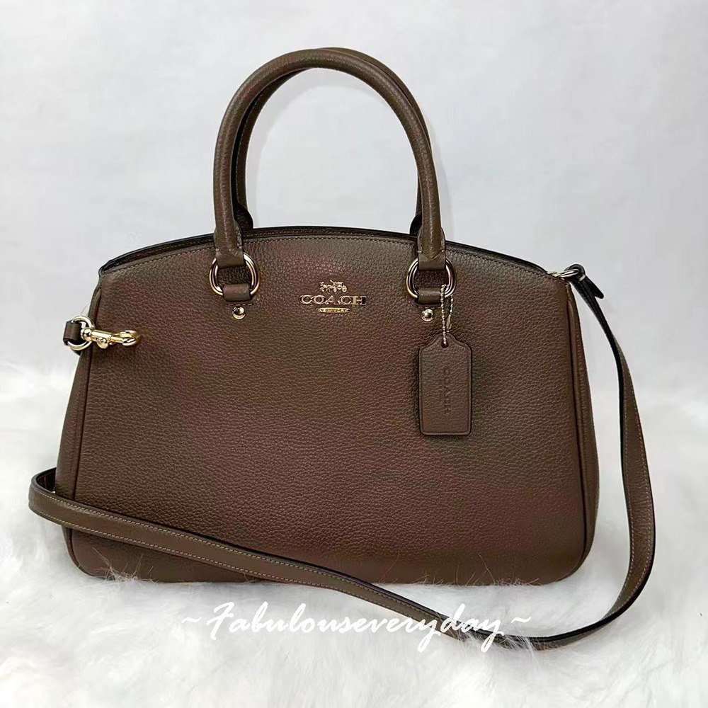 Coach Savannah Carryall Bag Crossbody In Leather/Gold/Dark Stone CAL56 NWT